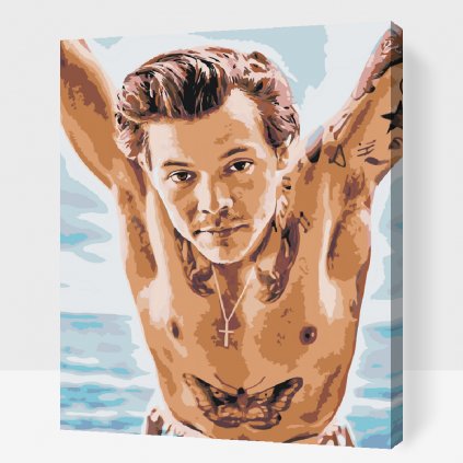 Malen nach Zahlen - Harry Styles 1