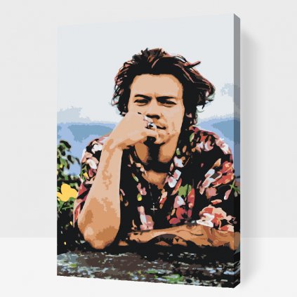 Malen nach Zahlen - Harry Styles 5