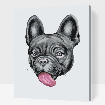 Malen nach Zahlen - Bulldogge mit ausgestreckter Zunge