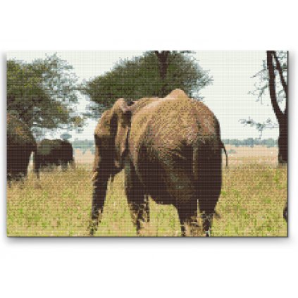 Diamond Painting - Serengeti-Nationalpark