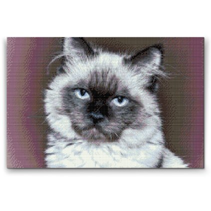 Diamond Painting - Porträt einer Katze