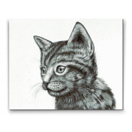 Diamond Painting - Nettes Schwarzweiss-Kätzchen