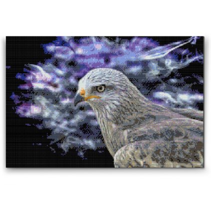 Diamond Painting - Falkenvogel