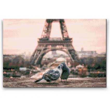 Diamond Painting - Tauben in Paris