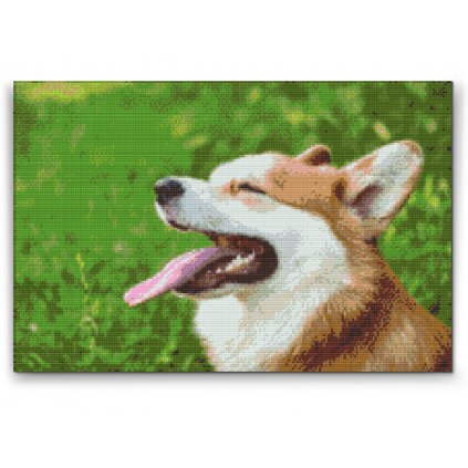 Diamond Painting - Corgi