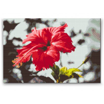 Diamond Painting - Rote Blume auf grauem Hintergrund