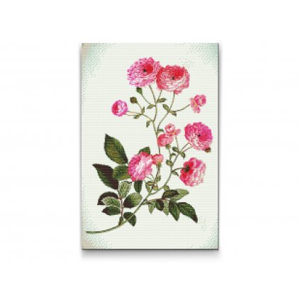 Diamond Painting - Vintage Blumen II