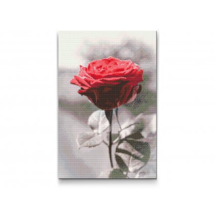 Diamond Painting - Blühende Rose