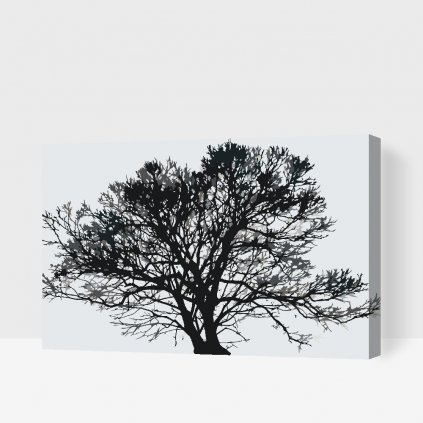 Malen nach Zahlen - Schwarz-weißer Baum