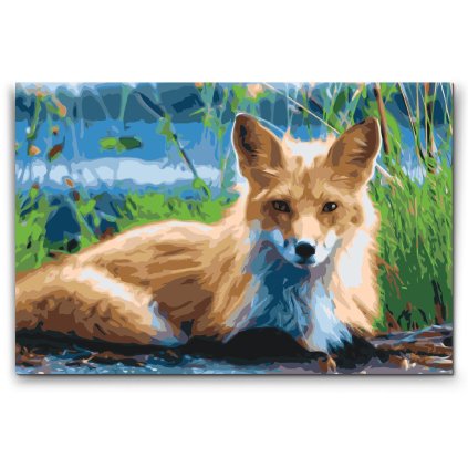 Malen_nach_Zahlen_Fuchs_2_M2