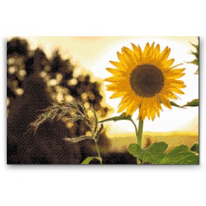 Diamond Painting - Sonnenblume auf der Wiese