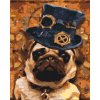 Malen nach Zahlen - Mops mit Hut