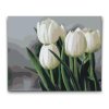 M2_Malen_nach_Zahlen_-_Weiße_Tulpen