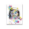 Diamond Painting - NASA Katze