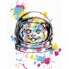 Diamond Painting - NASA Katze