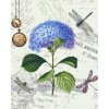 Diamond Painting - Hortensien und Libellen