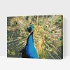 Malen nach Zahlen - Pfau