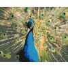 Malen nach Zahlen - Pfau