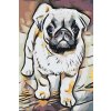 Malen nach Zahlen - Mops