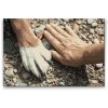 Diamond Painting - Freunde