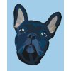Malen nach Zahlen - Französische Bulldogge 4
