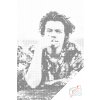 Punktmalerei - Harry Styles 5