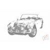 Punktmalerei - Austin Healey