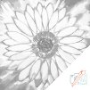 Punktmalerei - Strahlende Sonnenblume