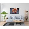 Diamond Painting - Regenbogenblume