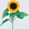 Malen nach Zahlen - Sonnenblume 2