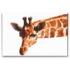 Diamond Painting - Vektor-Giraffe