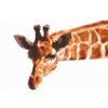 Diamond Painting - Vektor-Giraffe