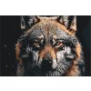 Malen nach Zahlen - Wolfsgesicht