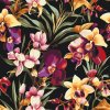 Malen nach Zahlen - Blumiger Hintergrund - Orchideen
