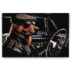 M2_Diamond_painting_-_Hund_in_einem_schwarzen_Cabrio