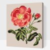 Malen nach Zahlen - Vintage Rosen
