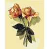 Malen nach Zahlen - Vintage Rosen 3