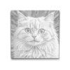 M2_Punktmalerei_-_Katze_in_Rosatönen