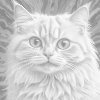 M11_Punktmalerei_-_Katze_in_Rosatönen