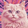 M11_Malen_nach_Zahlen_-_Katze_in_Rosatönen