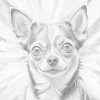 M11_Punktmalerei_-_Chihuahua_in_Rot-_und_Blautönen