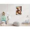 M3_Diamond_painting_-_Plüschteddy