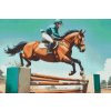 M11_Diamond_painting_-_Reitsport