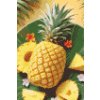 M11_Diamond_painting_-_Saftige_Ananas