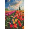 M11_Diamond_painting_-_Windmühlen_auf_einem_Tulpenfeld