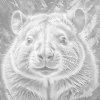 M11_Punktmalerei_-_Wombat_in_gedeckten_Grüntönen