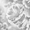 M11_Punktmalerei_-_Blüte_der_Sakura