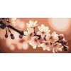 M11_Malen_nach_Zahlen_-_Frühlingsblüten_der_Sakura