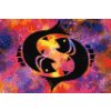 M11_Diamond_painting_-_Sternzeichen_–_Fische