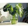 M11_Diamond_painting_-_Monstera_in_einer_Vase